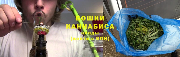 прущие грибы Бородино
