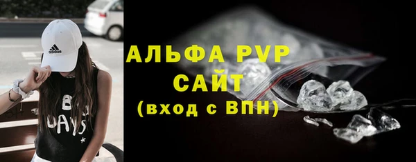 прущие грибы Бородино