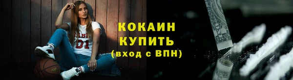 прущие грибы Бородино