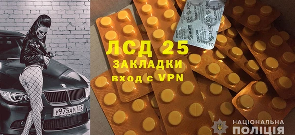 прущие грибы Бородино