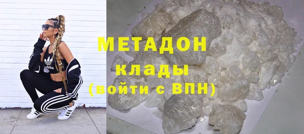 прущие грибы Бородино