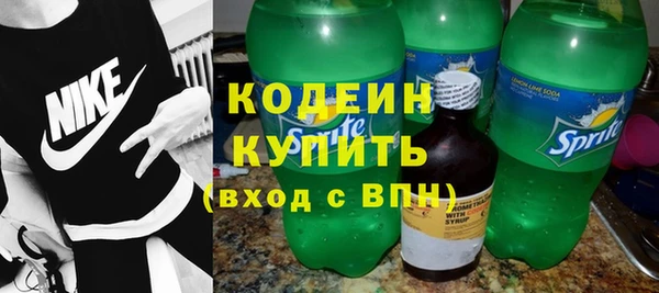 прущие грибы Бородино