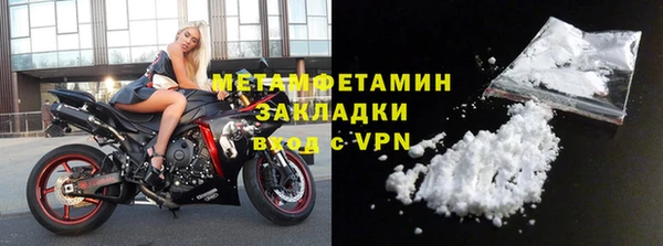 прущие грибы Бородино