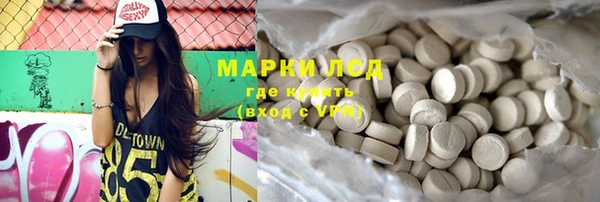 прущие грибы Бородино
